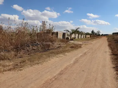 Stand for Sale in Whitecliff