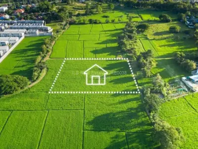 Stand for Sale in Glen Lorne