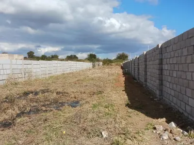 Land for Sale in Buena Vista