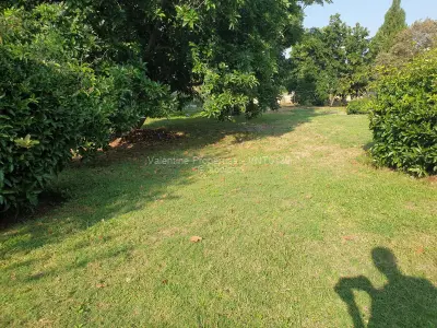 Land for Sale in Glen Lorne