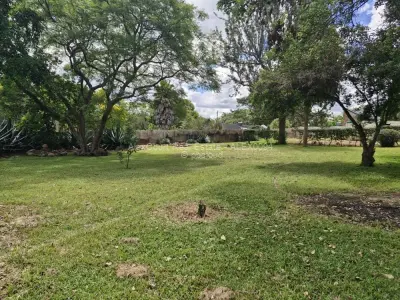 Stand for Sale in Glen Lorne
