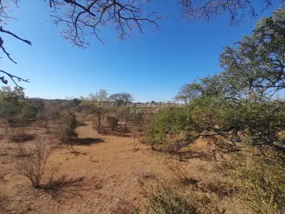 Land for Sale in Kwekwe