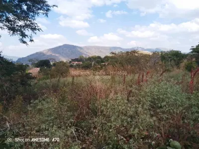 Land for Sale in Mazowe
