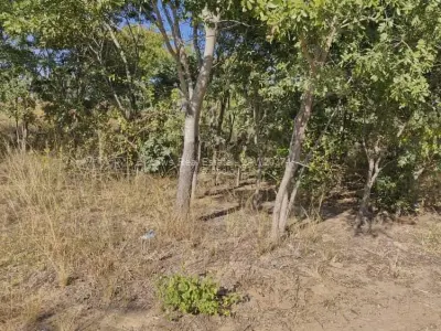 Stand for Sale in Arlington