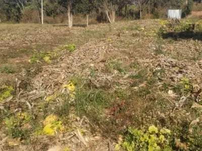 Stand for Sale in Mandara