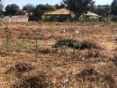 Stand for Sale in Greendale North