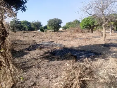 Stand for Sale in Whitecliff
