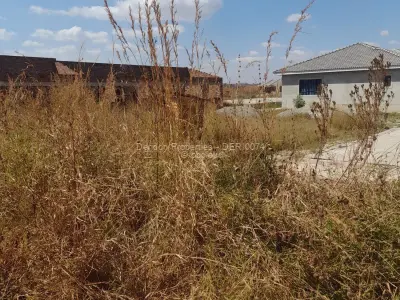 Stand for Sale in Glaudina