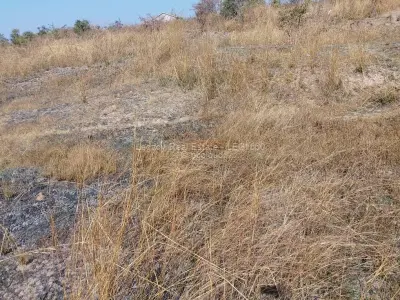 Land for Sale in Chinhoyi