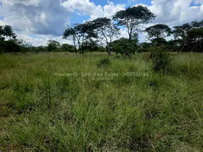 Farm for Sale in Kadoma