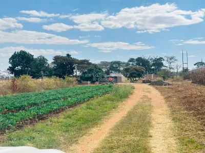 Farm for Sale in Norton