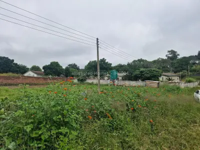 Stand for Sale in Quinnington