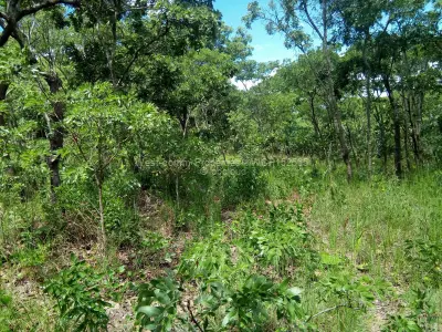 Farm for Sale in Glen Forest