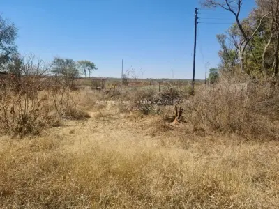 Stand for Sale in Willsgrove