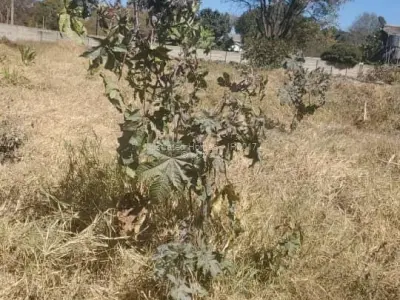 Stand for Sale in Helensvale