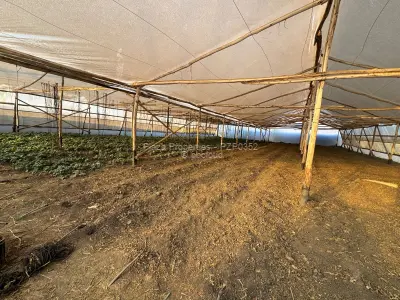 Residential Stand for Sale in Fairview