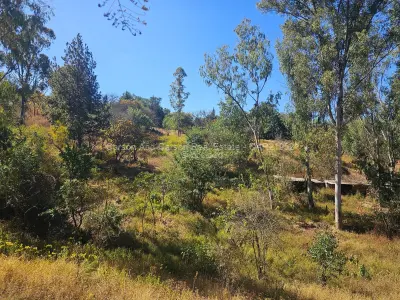 Residential Stand for Sale in Greystone Park