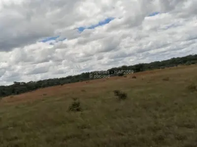Farm for Sale in Mvuma