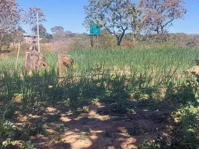 Stand for Sale in Gletwin Park