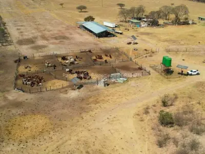 Farm for Sale in Figtree