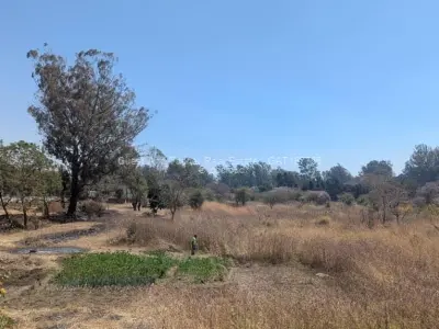 Commercial Stand for Sale in Mount Pleasant