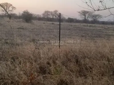 Stand for Sale in Plumtree