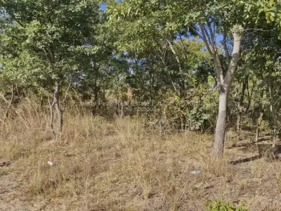 Stand for Sale in Arlington