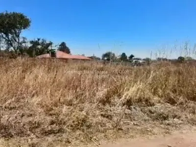 Stand for Sale in Hatfield