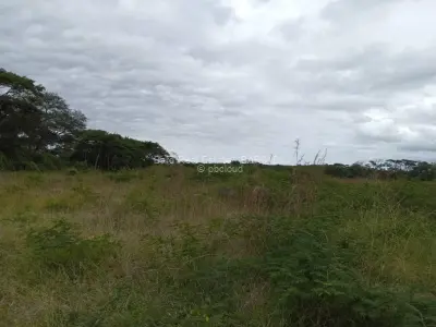 Farm for Sale in Westlea Mutare