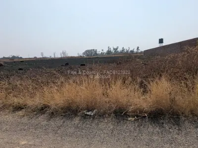 Residential Stand for Sale in Mount Pleasant