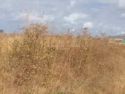 Stand for Sale in Nyabira