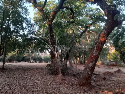 Commercial Stand for Sale in Chisipite