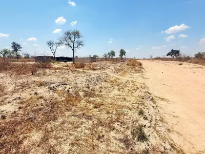 Stand for Sale in Lake Chivero