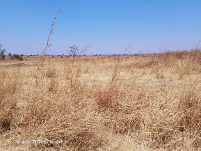 Farm for Sale in Mazowe