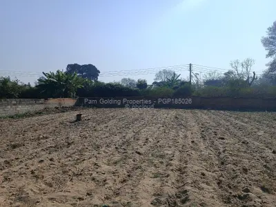 Stand for Sale in Hatfield