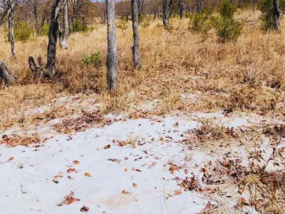 Farm/Plot for Sale in Ngezi