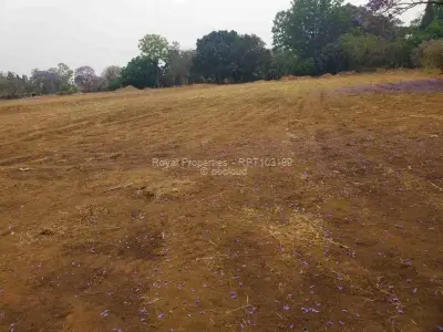 Commercial Stand for Sale in Marlborough