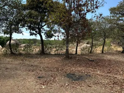 Stand for Sale in Marondera