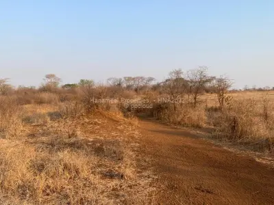 Farm for Sale in Selous