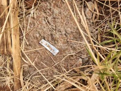 Residential Stand for Sale in Tynwald