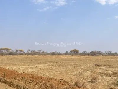 Land for Sale in Woodville