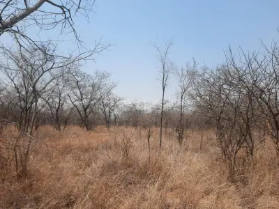 Farm for Sale in Chinhoyi