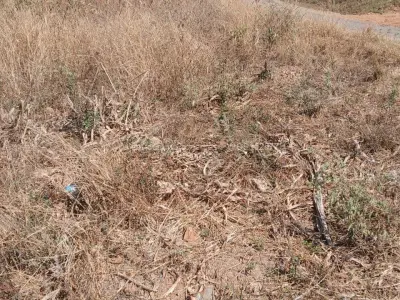 Stand for Sale in Glen Lorne