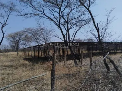 Farm for Sale in Figtree