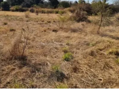 Stand for Sale in Buena Vista