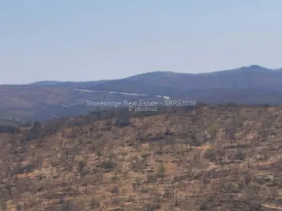 Land for Sale in Esigodini