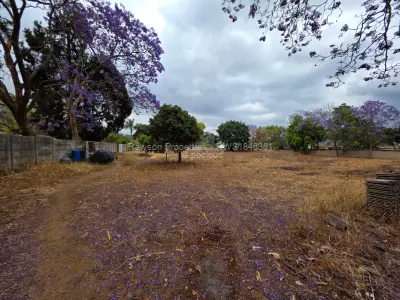 Stand for Sale in Borrowdale