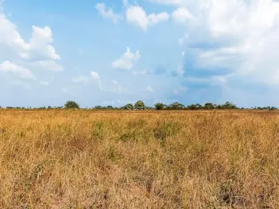 Land for Sale in Chegutu