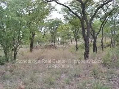 Commercial Stand for Sale in Fortunes Gate