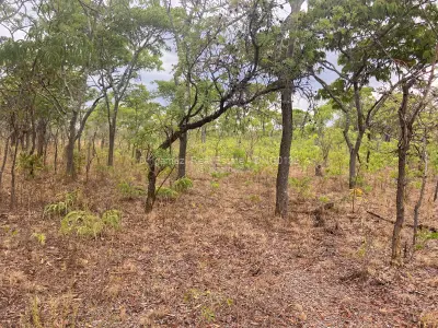 Farm/Plot for Sale in Marondera